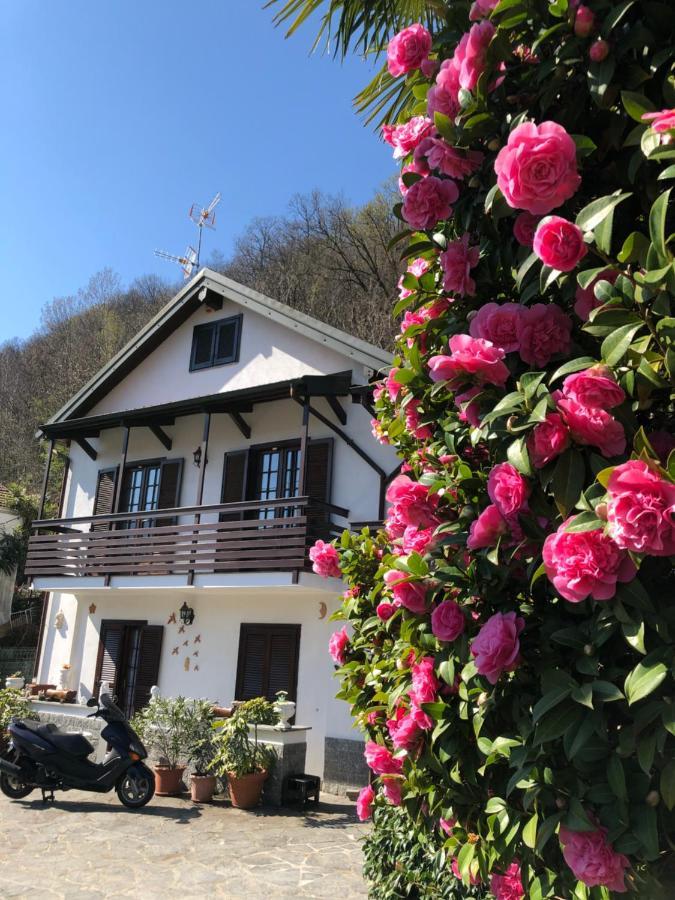 Casa Delle Azalee Villa Gravellona Toce Bagian luar foto